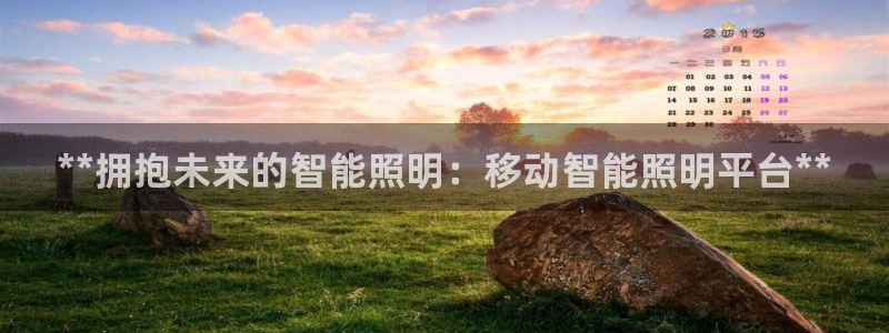 云顶集团3118acm