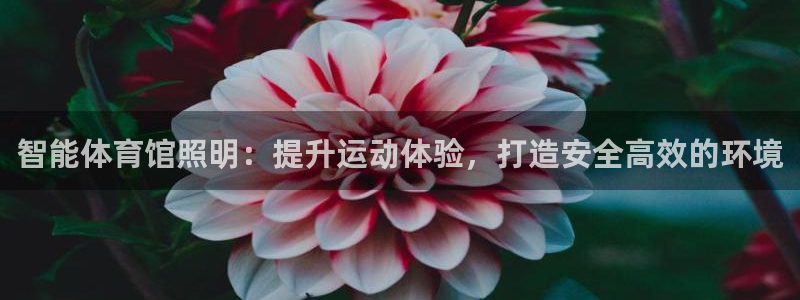 云顶国际二手房价格