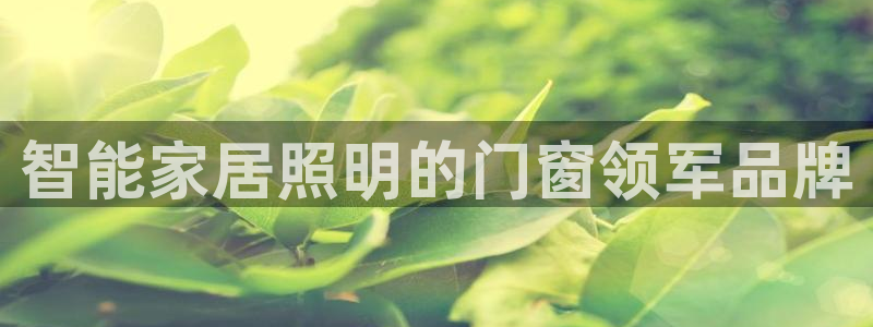 云顶国际中学