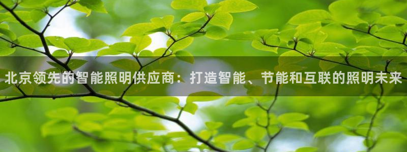 云顶国际服什么时候更新s9.5