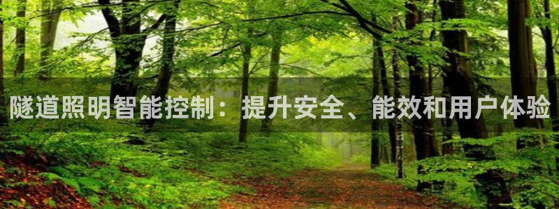 云顶国际服在哪下载