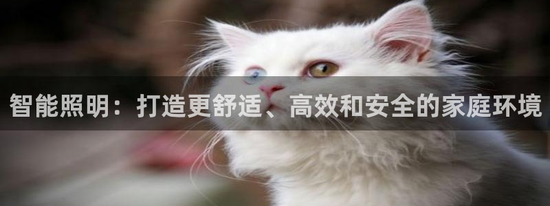 云顶集团在中国有投资吗?