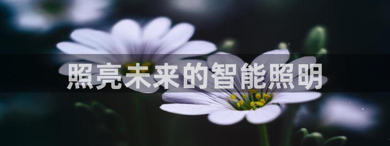 云顶集团老总个人资料