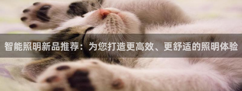 云顶国际集团官网网址