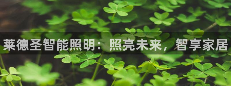 云顶国际app怎么样好用吗