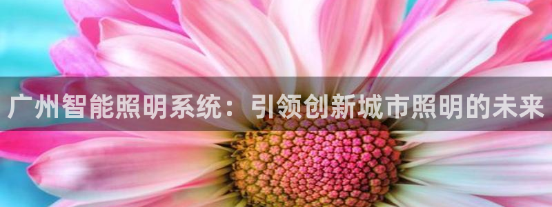 云顶国际pg网站