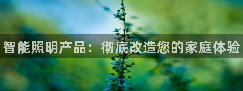 云顶国际酒店电话号码多少