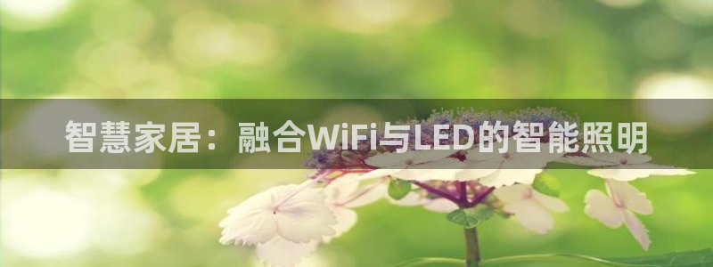 云顶国际下载安装