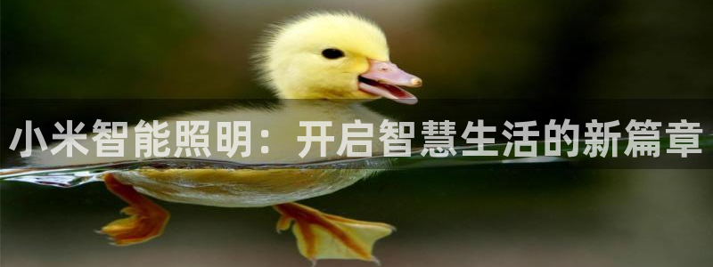 云顶集团官网电话客服