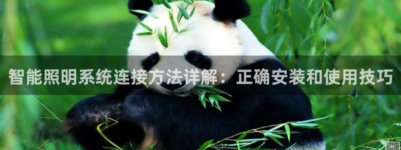 云顶国际滑雪场在哪里