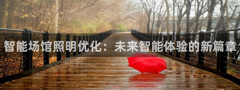 云顶国际足球app下载
