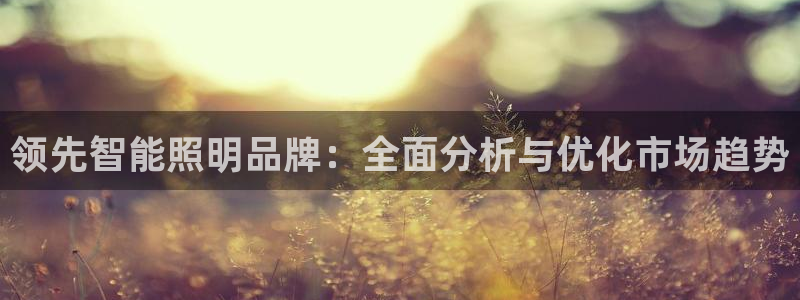 云顶国际服名字不可用