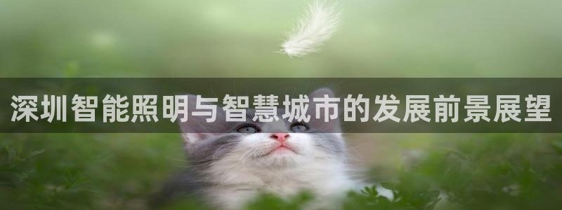 淮北市云顶国际俱乐部