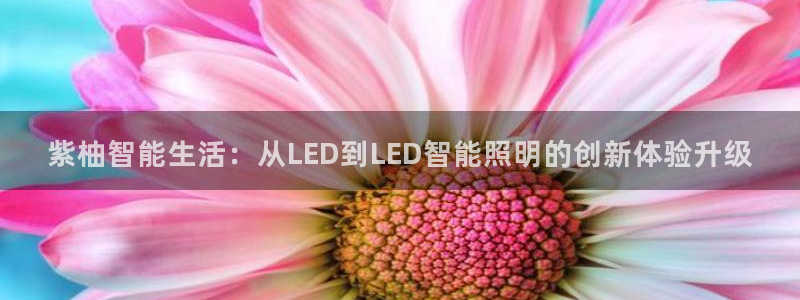 云顶国际服过年有没有福星