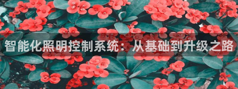 云顶7610最新