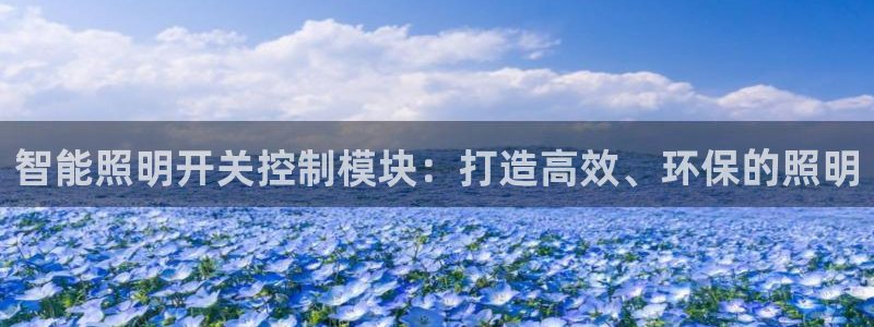 云顶国际在线购彩：智能照明开关控制模块：