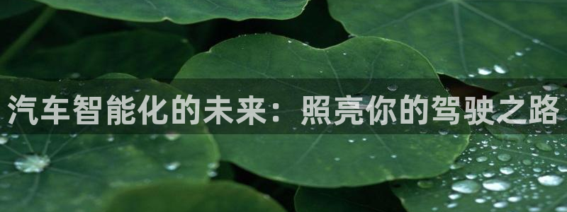 云顶集团网投领：汽车智能化的未来：照亮你