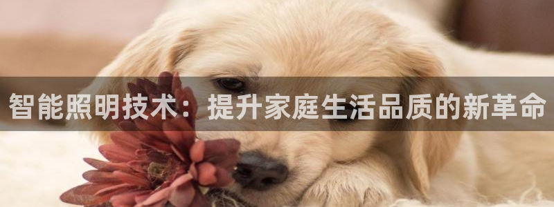 云顶国际取款多久到账：智能照明技术：提升