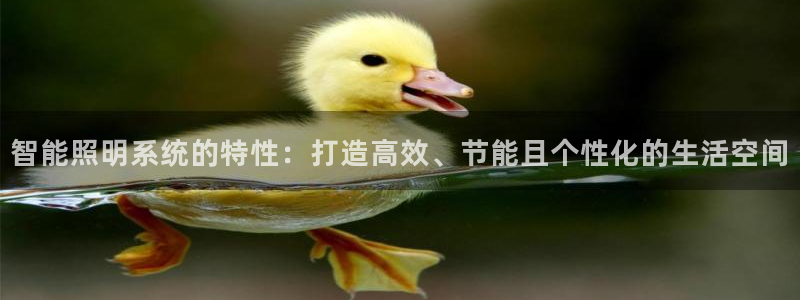 云顶集团welcome官网