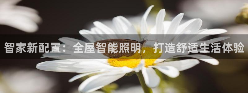 云顶国际大酒店是几星级