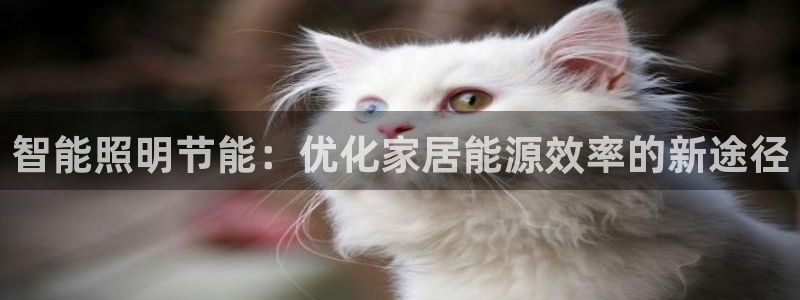 云顶国际取款多久到账户
