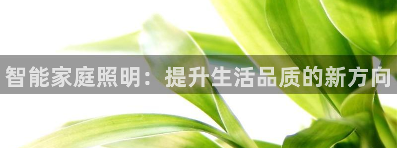 云顶国际能提现吗