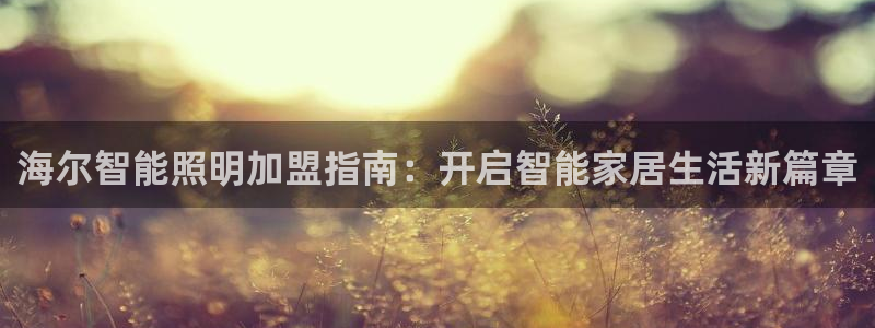 云顶dj：海尔智能照明加盟指南：开启智能